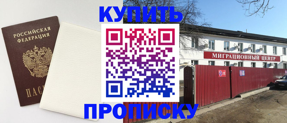 где прописаться в Сураже